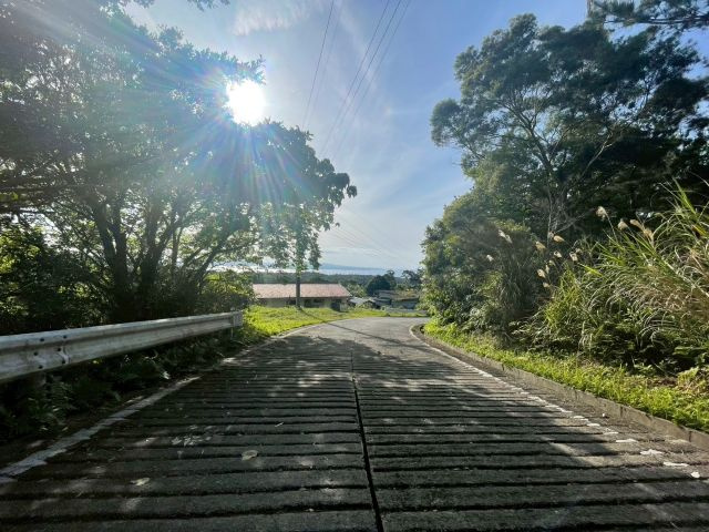 大宜味村津波の土地図