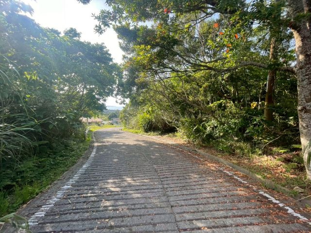 大宜味村津波の土地図