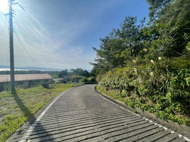 大宜味村津波の外観
