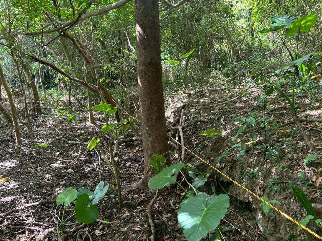 金武町伊芸の外観