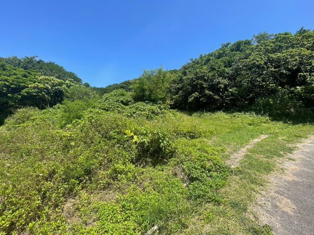本部町備瀬の外観