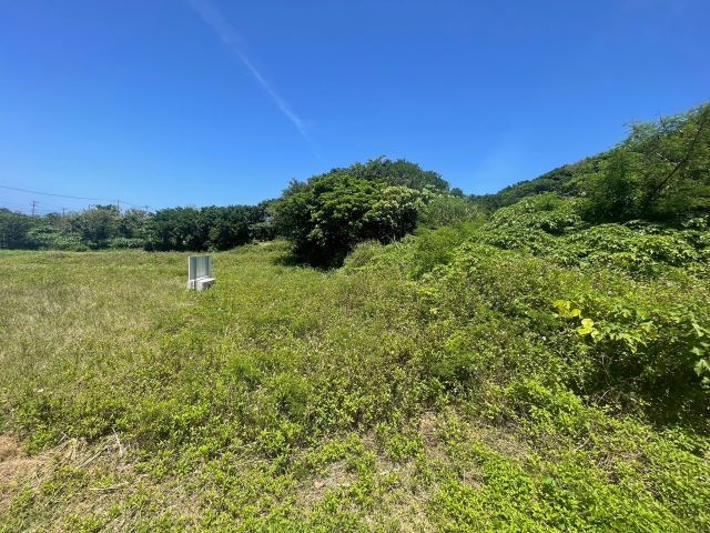本部町備瀬の外観
