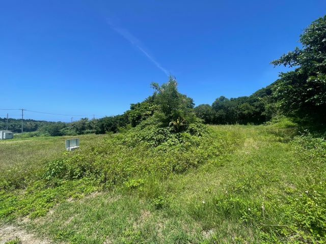 本部町備瀬の外観