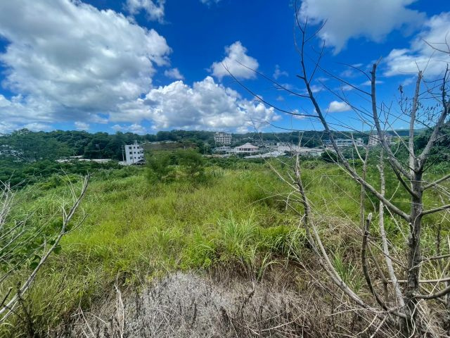 名護市伊佐川の外観