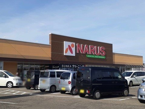 カルムＢの周辺|ナルス国府店まで1700m