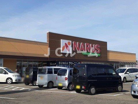 カルムＢの周辺|ナルス国府店まで1700m