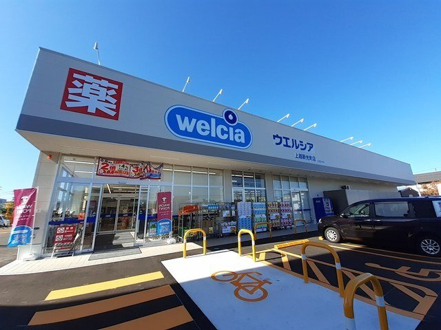 Ｍａｉｓｏｎ　ｄｅ　ＹＫ　Ⅰの周辺|ウエルシア上越新光町店まで650m
