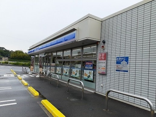 サウスウェー　Ⅶの周辺|ローソン野田3丁目店まで1100m