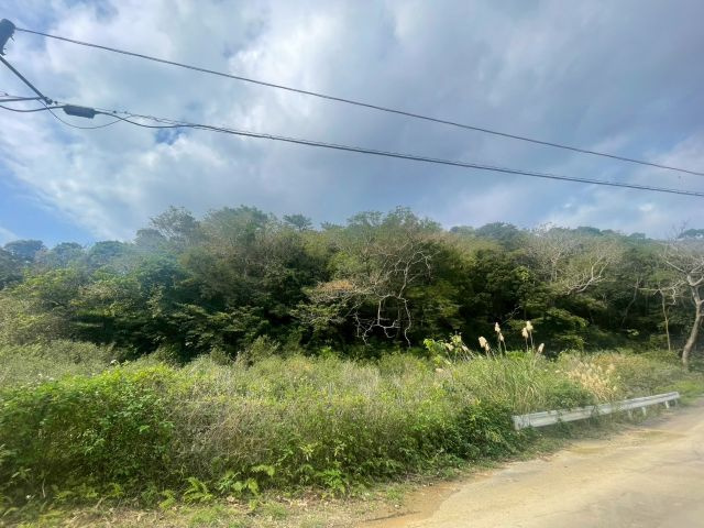 大宜味村根路銘の外観