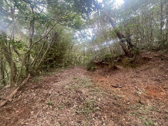 大宜味村根路銘の外観