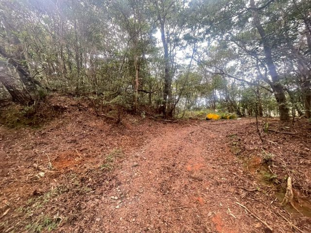 大宜味村根路銘の外観