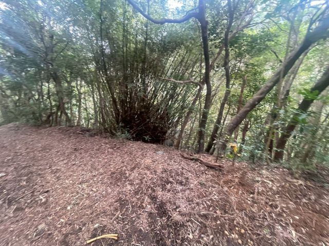 大宜味村根路銘の外観