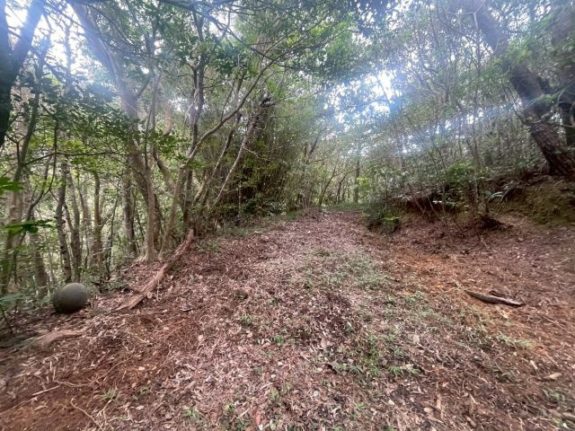 大宜味村根路銘の外観