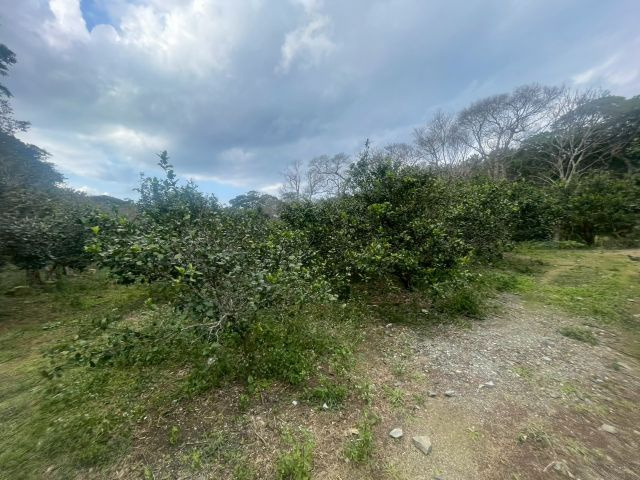 大宜味村根路銘の外観