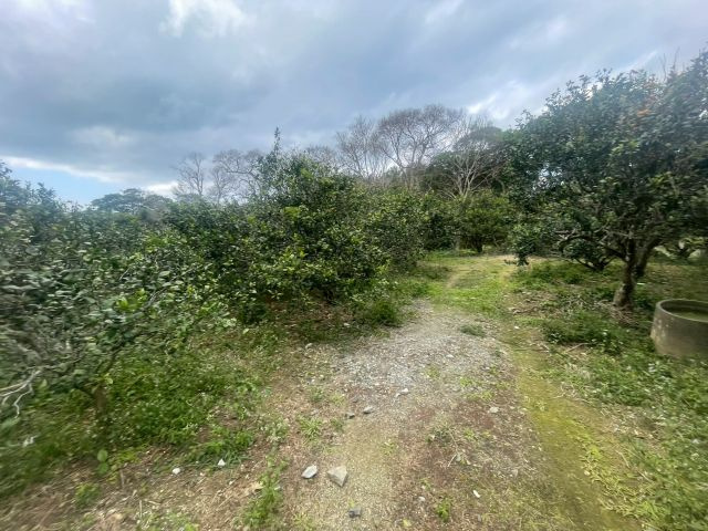 大宜味村根路銘の外観