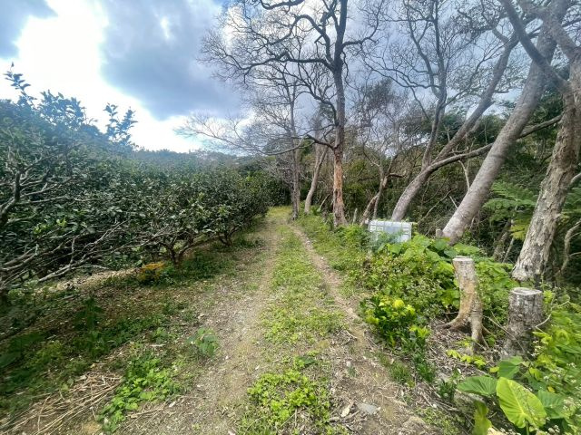 大宜味村根路銘の外観