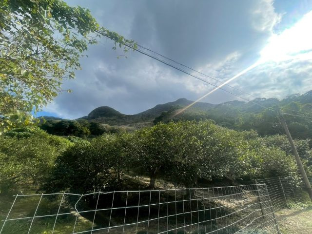 大宜味村根路銘の外観