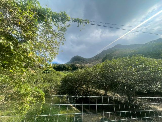 大宜味村根路銘の外観