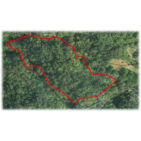 大宜味村根路銘の区画図