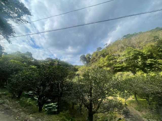 大宜味村根路銘の外観