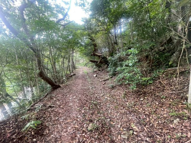 大宜味村根路銘の外観