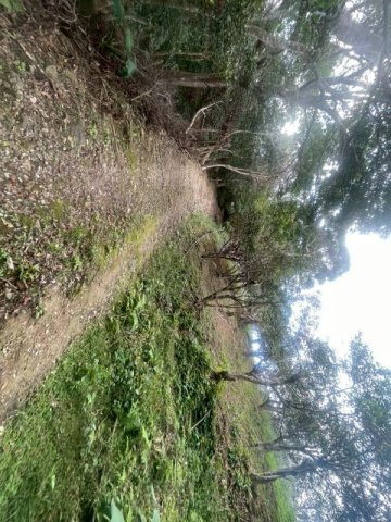 大宜味村根路銘の外観
