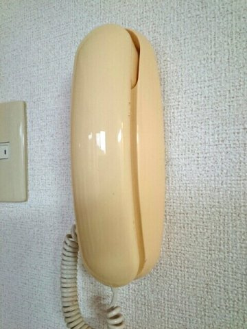 メゾンプロムナ－ドＴのセキュリティ