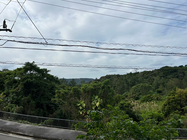 東村川田の外観