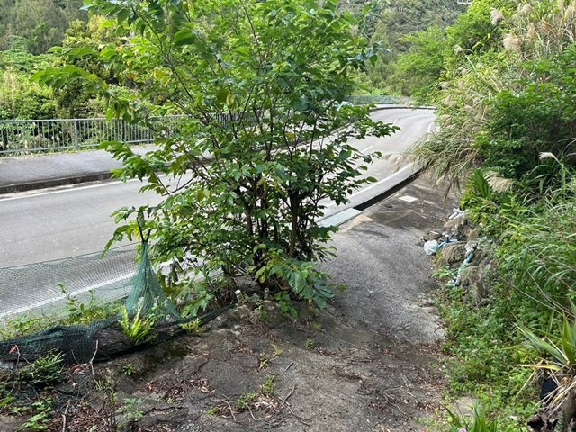 東村川田の外観