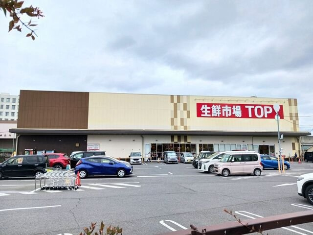 カムラフォレストの周辺|TOPセントラルパーク店まで650m