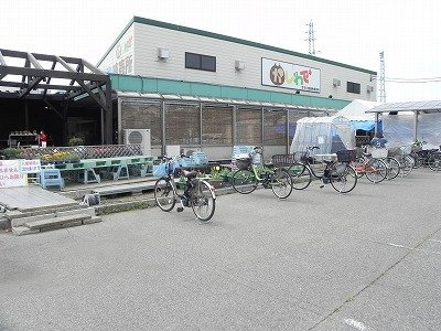 アルトパラーシオの周辺|かしわでまで1340m