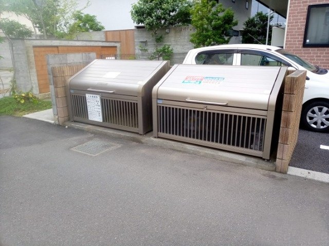 レオネクストステラのその他