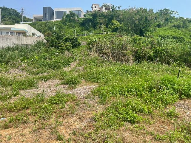 本部町浜元の外観