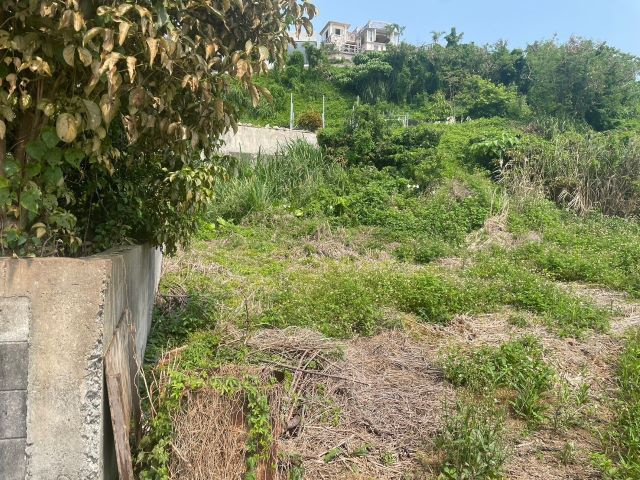 本部町浜元の外観