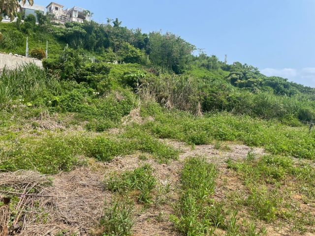 本部町浜元の外観