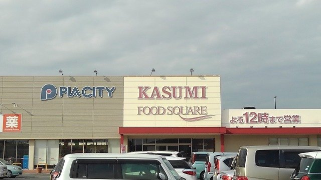 ランド　ピースＢの周辺|カスミ宮代店まで1100m