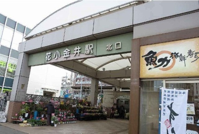【周辺】 | サクセス　ツリー　Ⅱ | 花小金井駅まで1330m