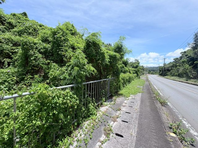 本部町新里の周辺