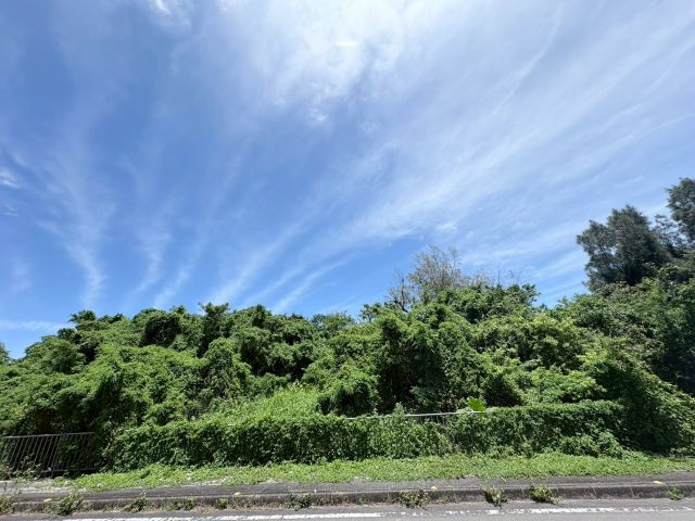 本部町新里