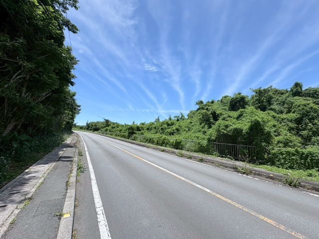 本部町新里の外観