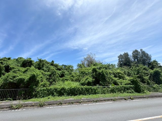 本部町新里の外観