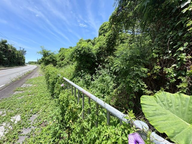 本部町新里の外観
