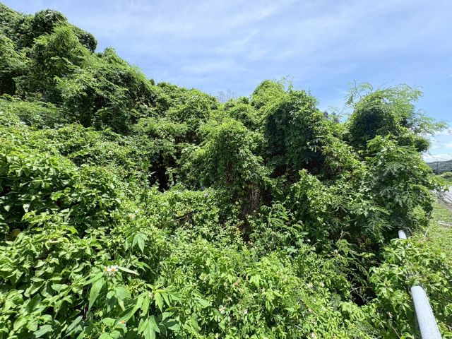 本部町新里の外観