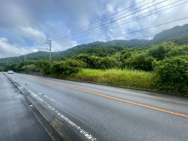 今帰仁村湧川