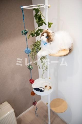 クレヴィアリグゼ西馬込のロビー