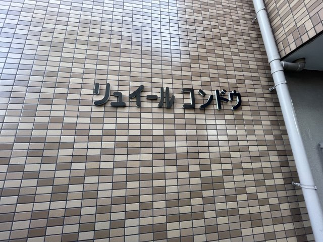 リュイールコンドウのその他