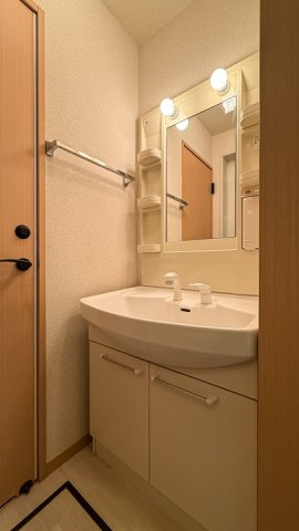 グレースレジデンスの洗面所