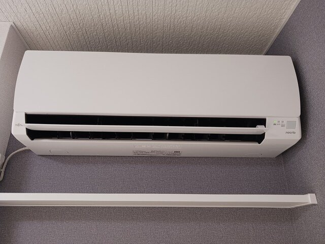 マルタン　シュドのその他