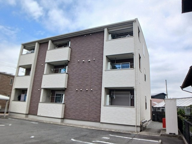サンフラワー