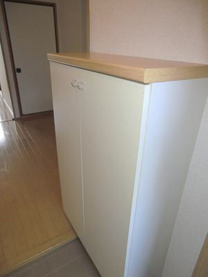 殿山ヒルズA棟のその他|玄関収納